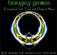 Energized Traditional Irish and Original Music