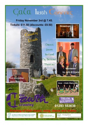 Celtic and Irish Cultural Society – Celebrating Cultural Heritage in ...